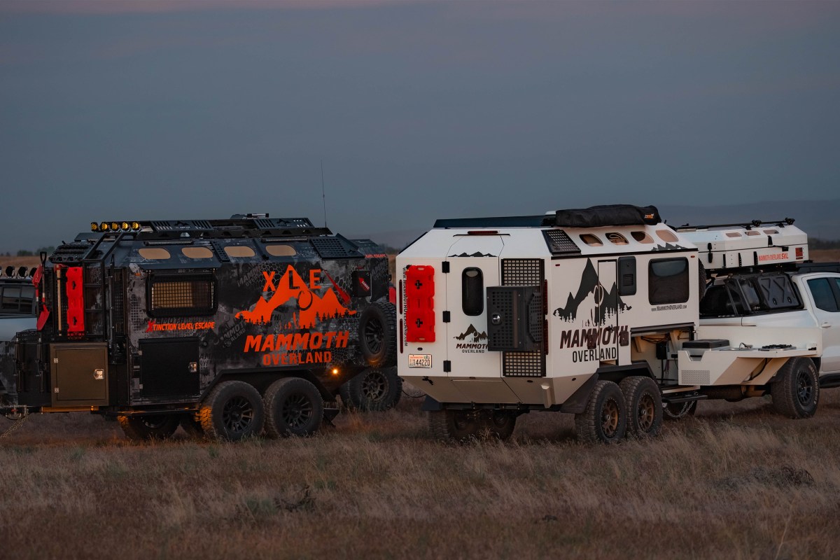 Two XLEs parked side by side