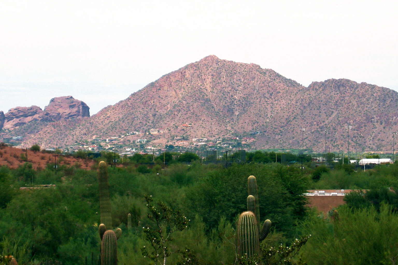 One Hospitalized After Arizona Hikers Chased Off Mountain by Swarms of Bees