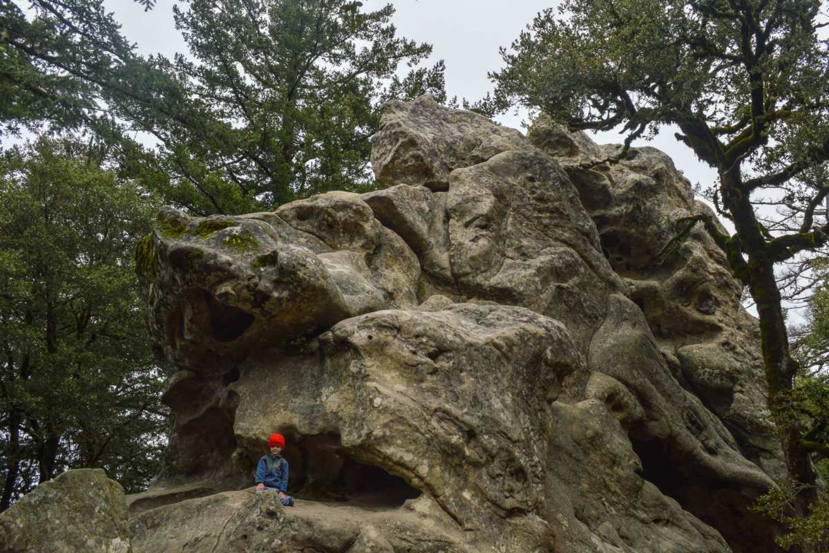 small child in front of rock formation in forest 