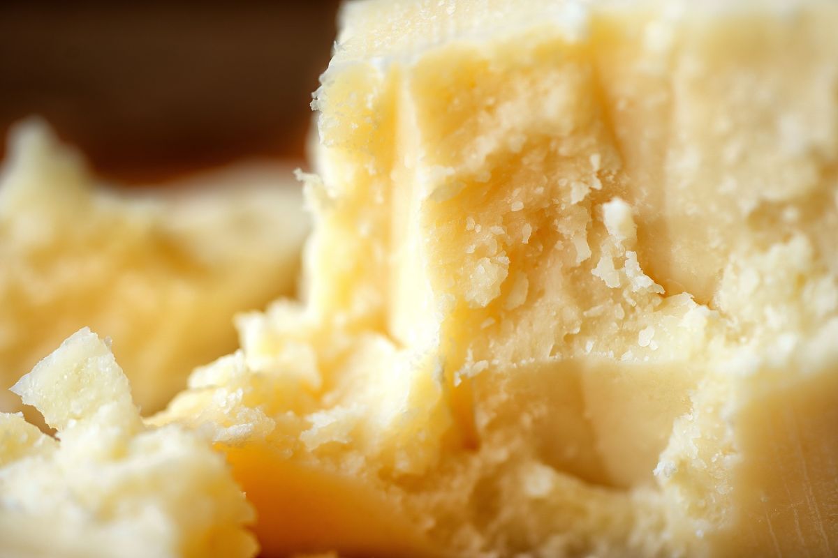 close-up shot of parmesan cheese