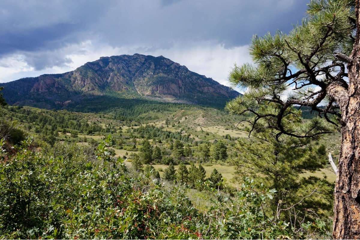 mountain with dark sky and forests