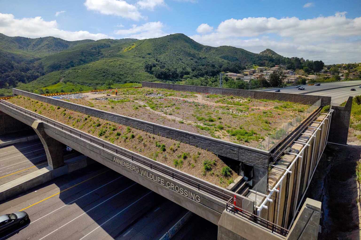 Rare Bipartisan Effort Pushes to Expand Wildlife Corridors Crossing Deadly Highways