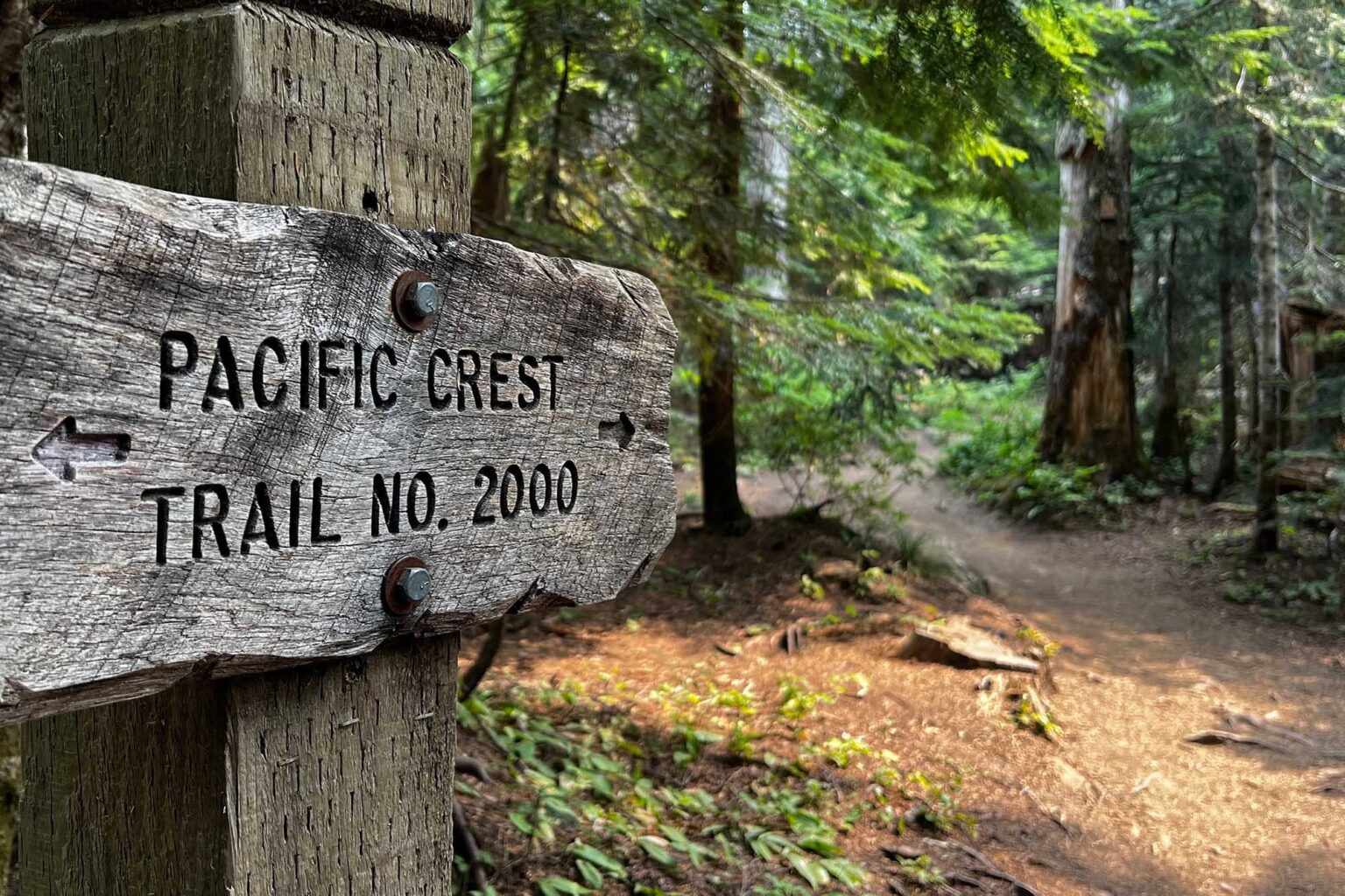 Thru-Hikers’ Worst Enemy Is Microscopic: Why Norovirus Is a Perennial Problem on Trails