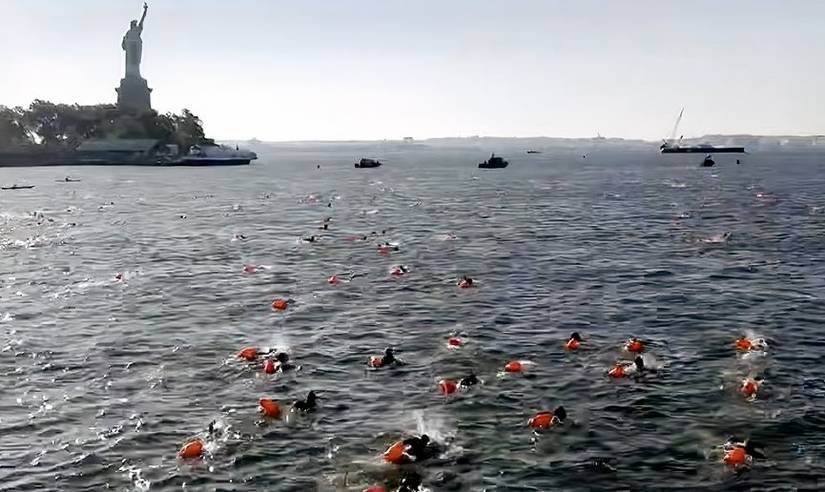 Seal swim 3 