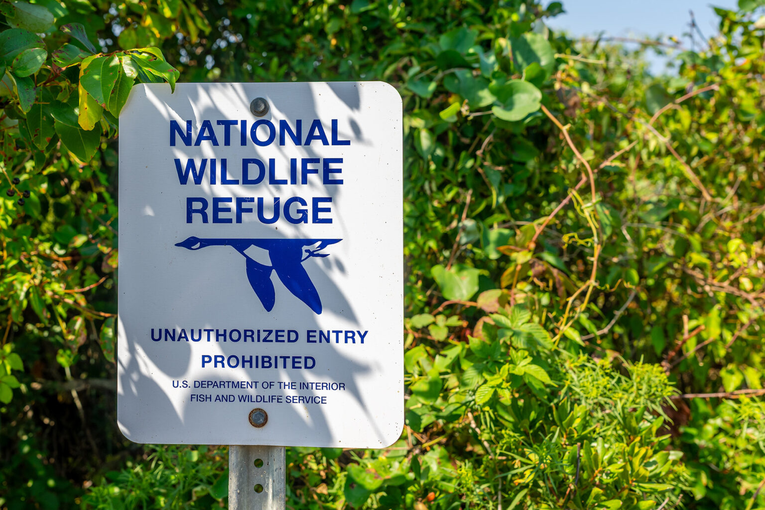 Feds Propose Hunting, Fishing Expansion on Wildlife Refuges