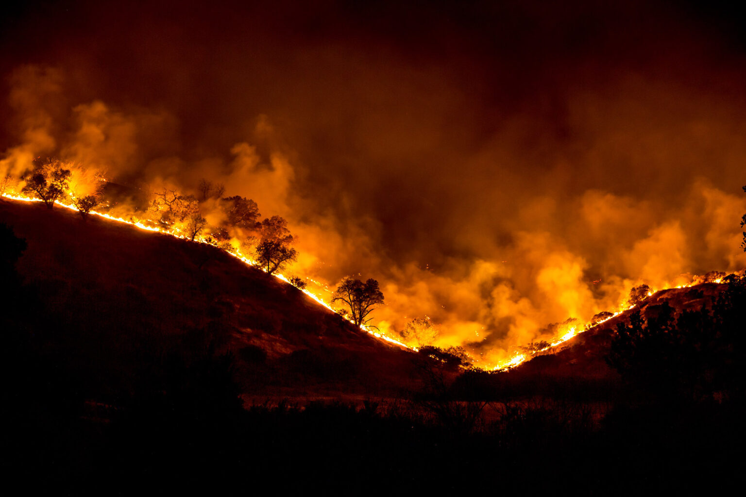 What the Science Says About Wildfires in the West What the Science Says About Wildfires in the West