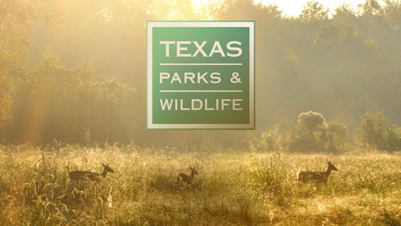 Texas Hunting, Fishing License Breach May Have Exposed Data of More Than 3 Million Customers