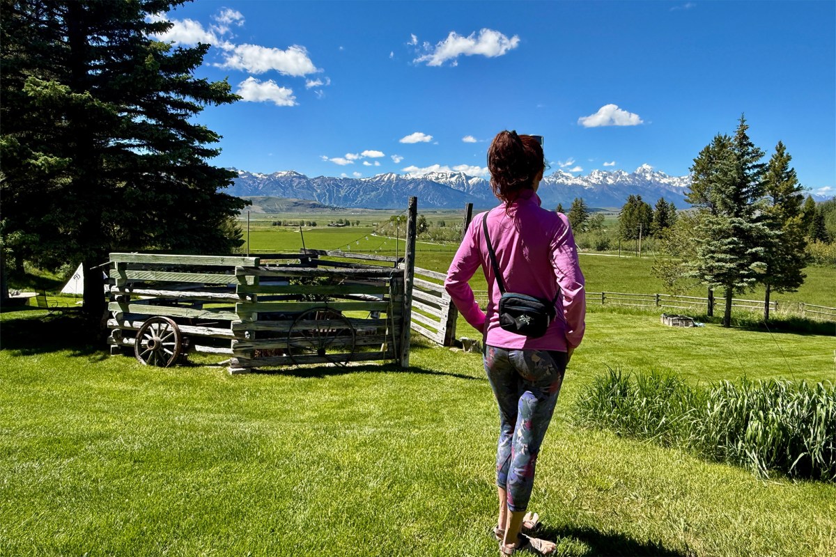 Person wearing a small Arc’teryx waist pack while looking at snowy mountains from a grassy yard