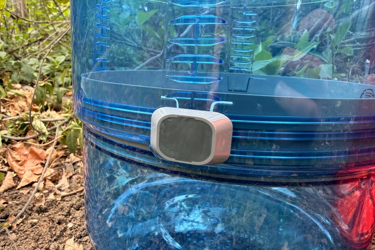 A close view shows the gray latch and adjustable section on the blue BV ONE bear canister