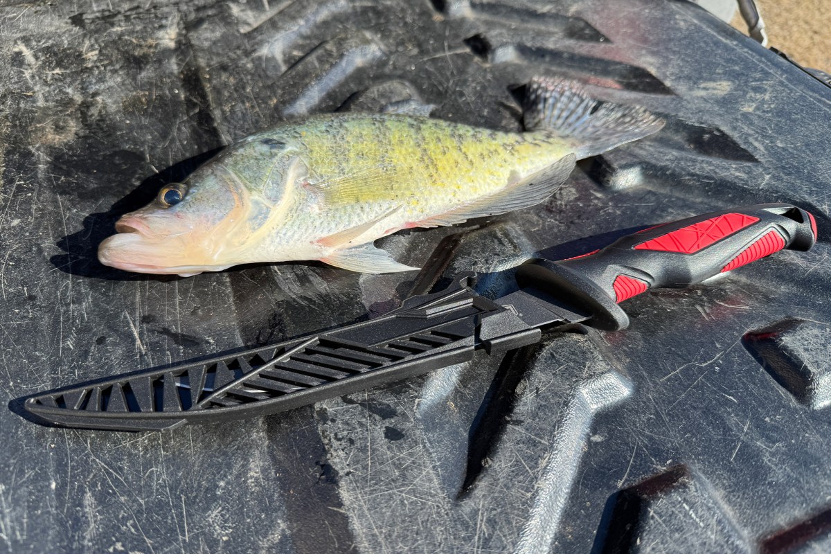 A fish lies on a black surface next to an EGO fillet knife with a black sheath and red and black handle