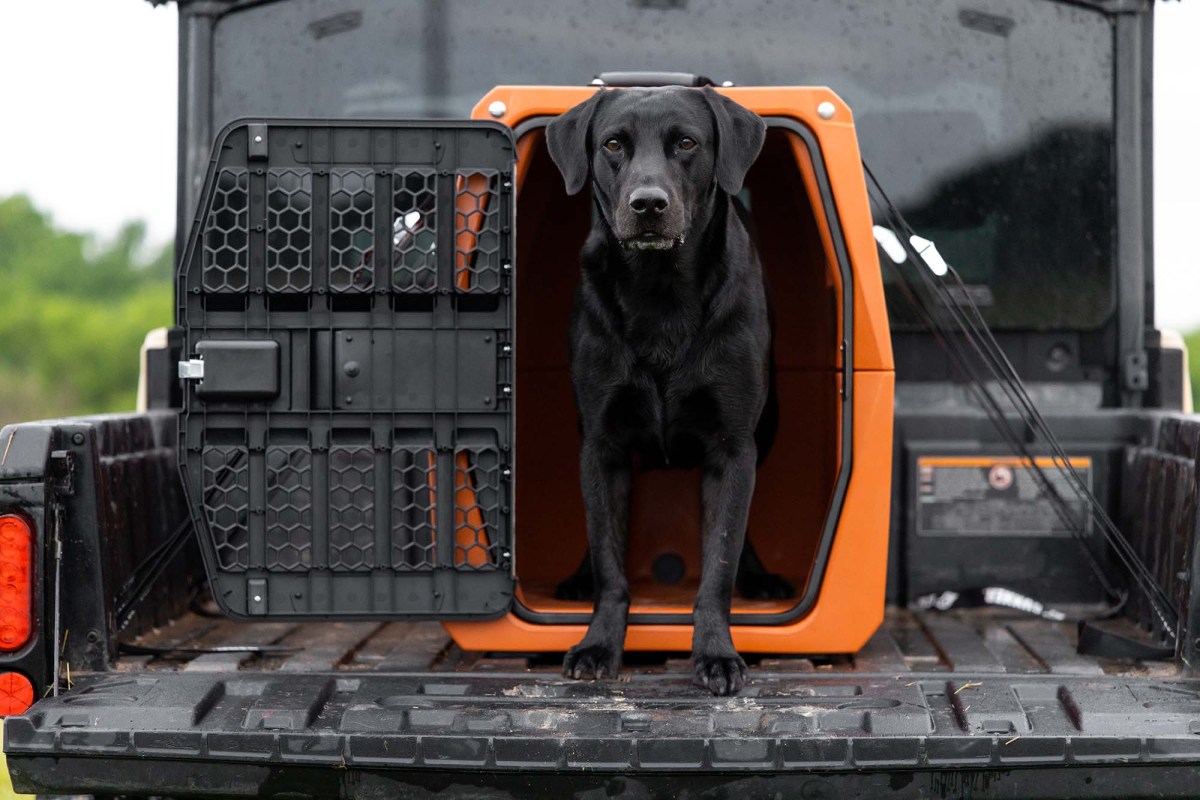 gunner x ducks unlimited