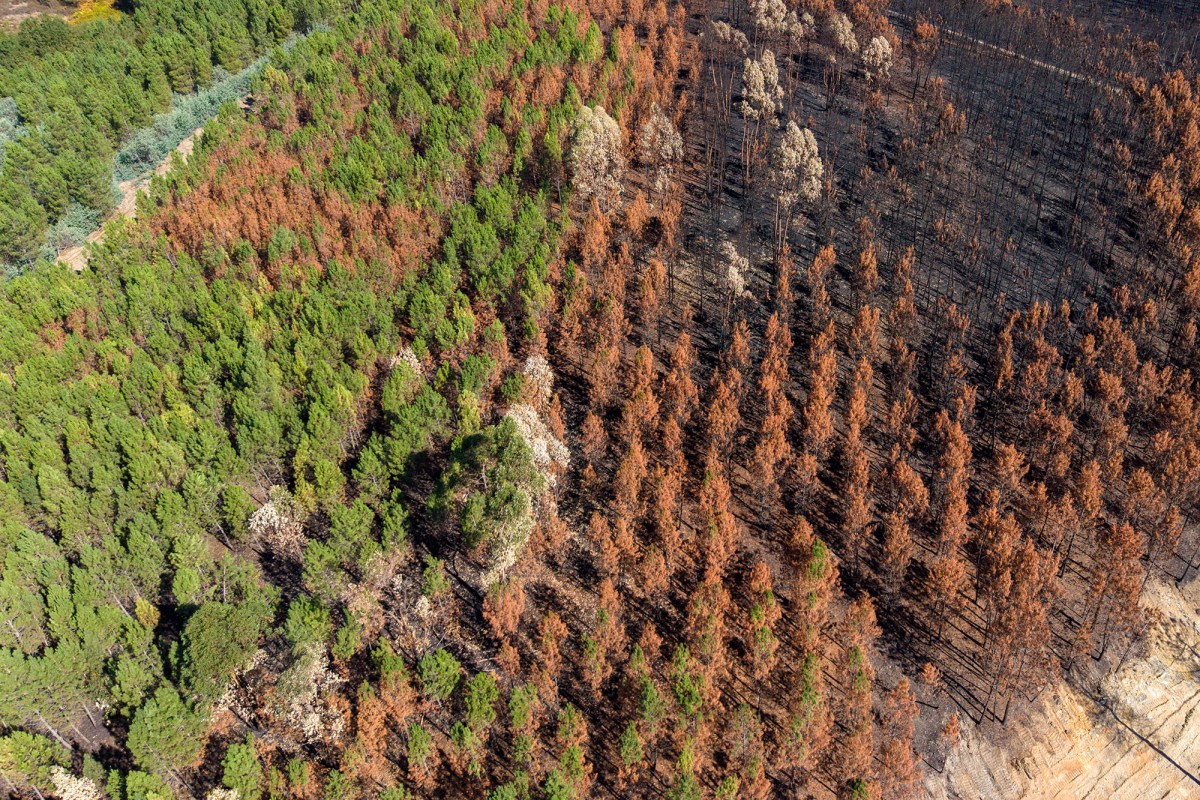 Wildlife Damage