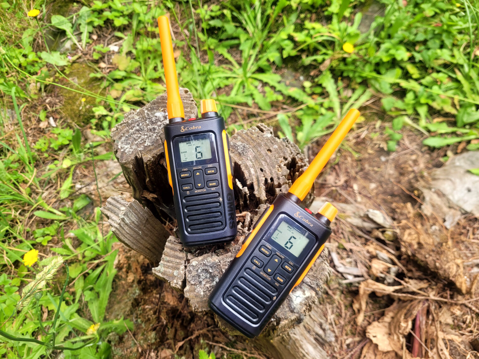 Cobra TrailBlazer 450 Review | GearJunkie Tested Cobra TrailBlazer 450 Review | GearJunkie Tested