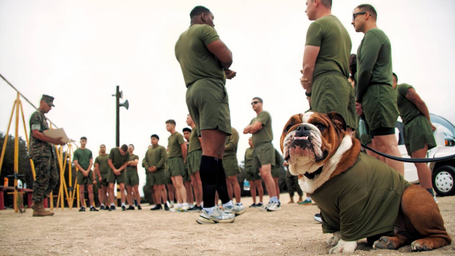 Marine Corps Physical Fitness Test (PFT) Marine Corps Physical Fitness Test (PFT)