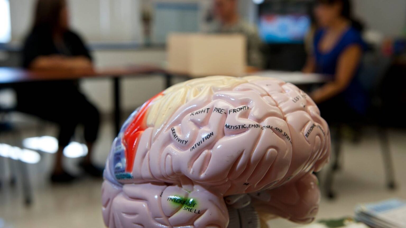 NDAA Officially Funds New Blast Overpressure Task Force to Advance TBI Research