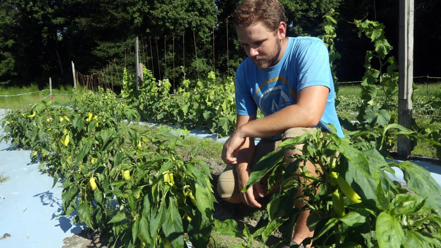 0,000 Donation Expands Grants for Veterans Starting Farming Businesses 0,000 Donation Expands Grants for Veterans Starting Farming Businesses