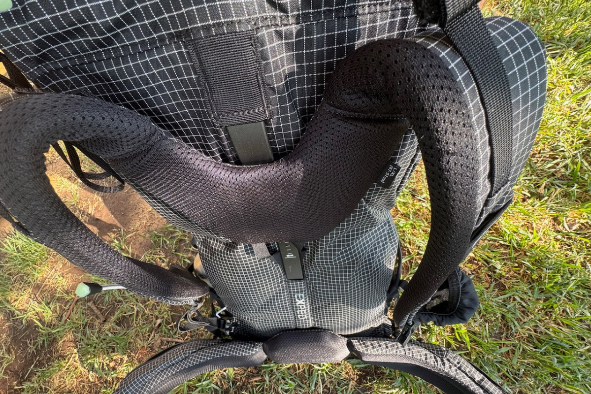 Padded shoulder straps and adjustable back panel on the Exped backpack