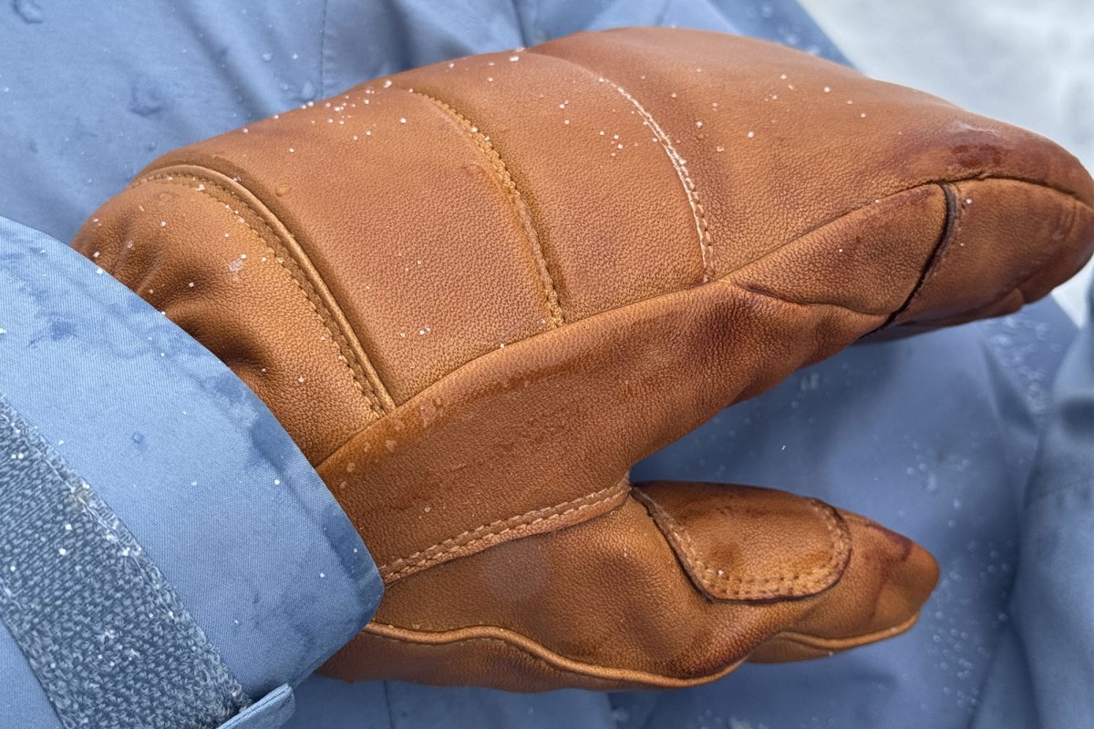 Hestra Women’s Fall Line Mitt 