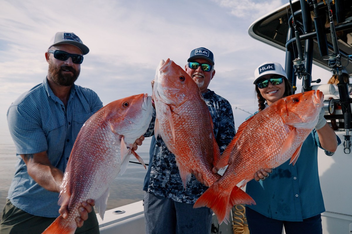 Red Snapper