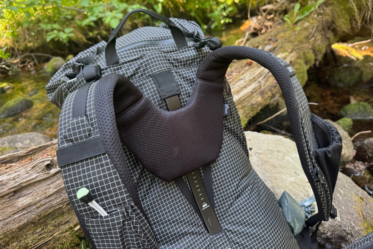 Padded shoulder harness and adjustable torso system on the hiking backpack