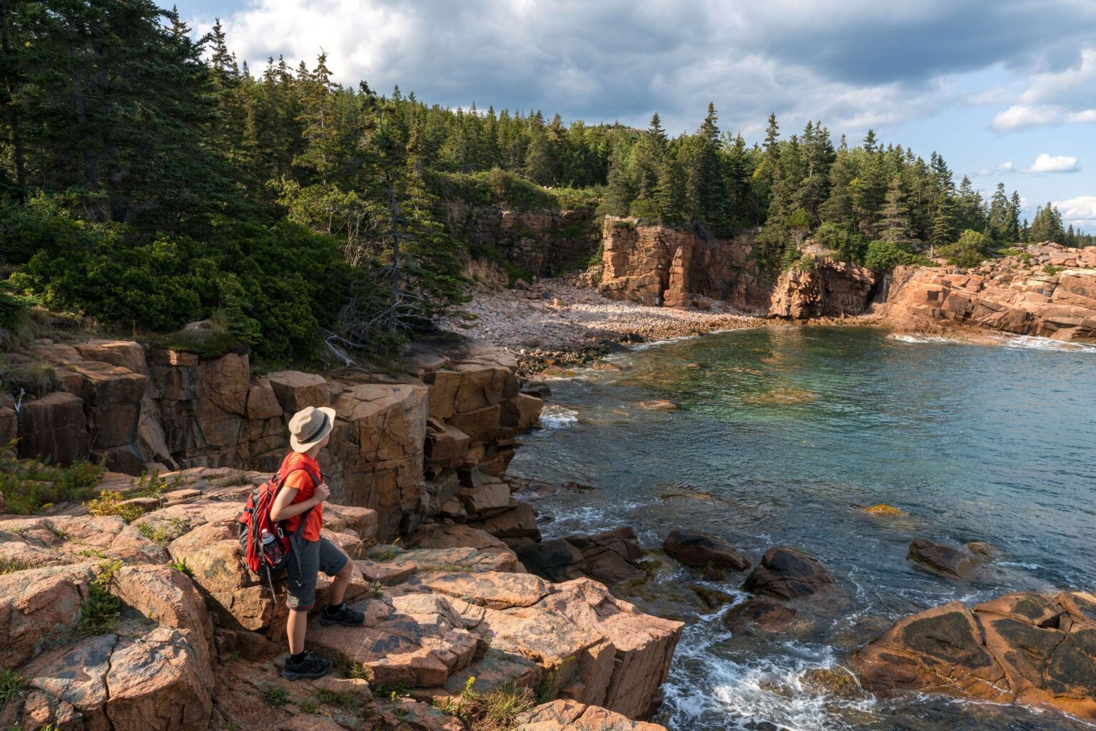 Can Big Tech Save National Parks? Millions of Dollars Say Yes