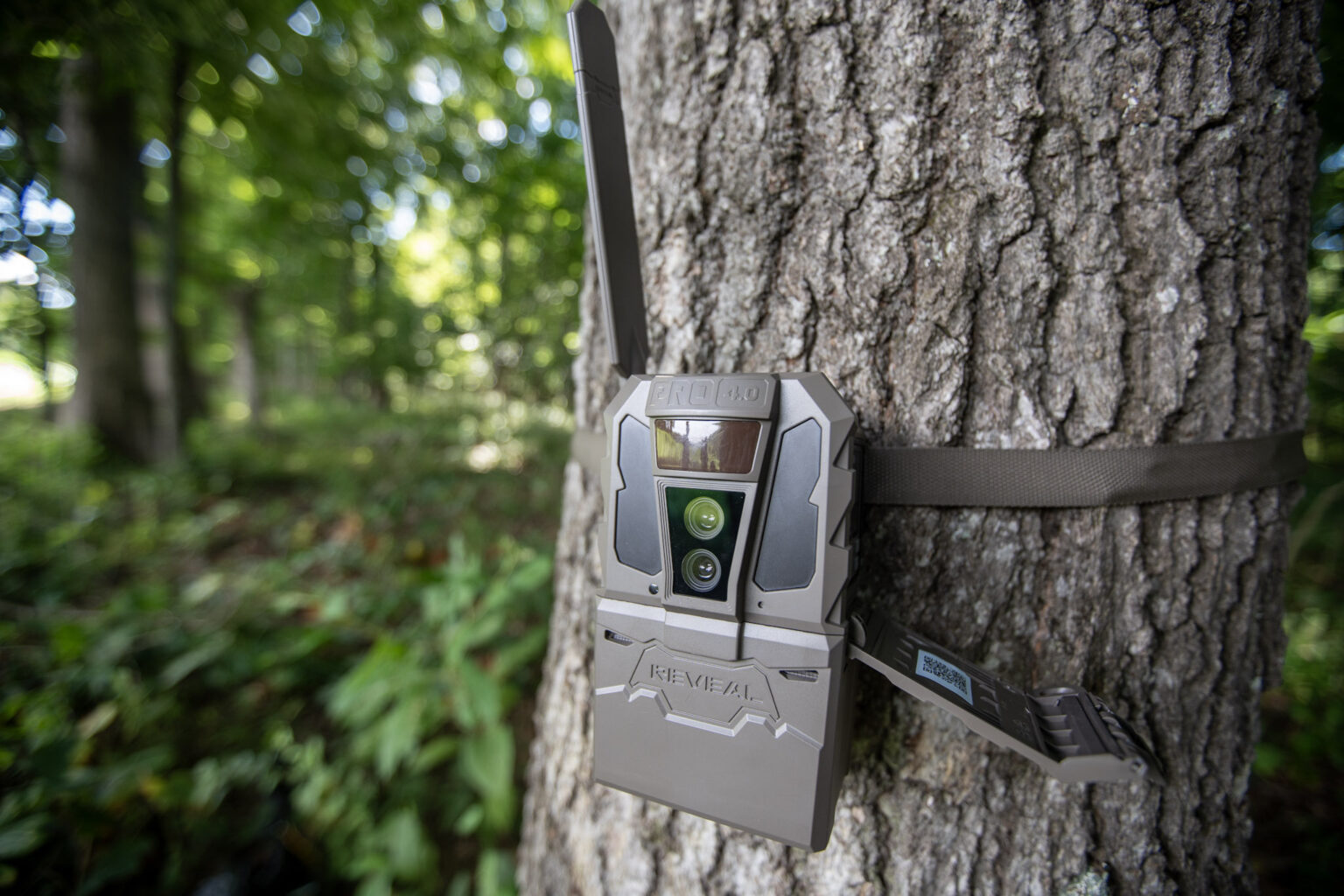 TACTACAM REVEAL 4.0 Trail Cameras Keep You in the Woods