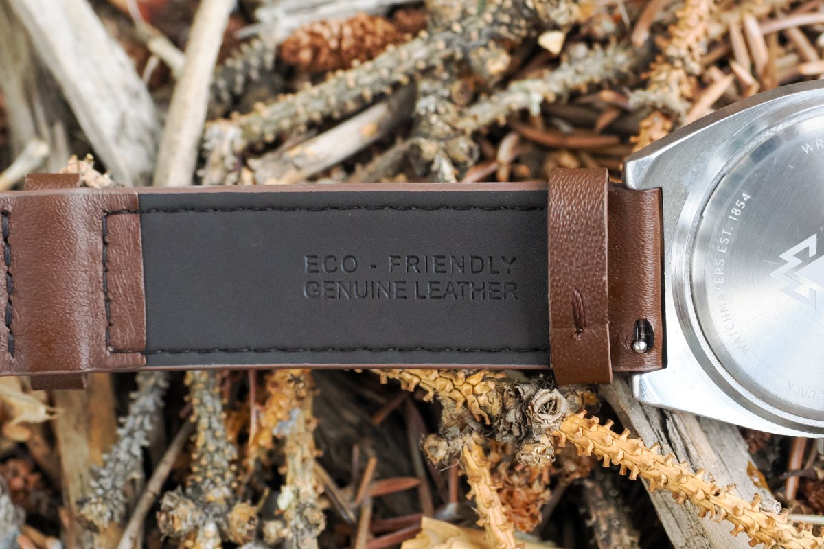 Timex Expedition Capstone leather strap
