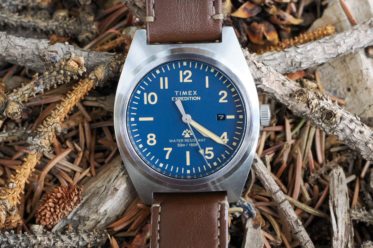 Timex Expedition Capstone Review | GearJunkie Tested