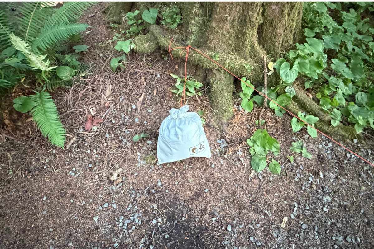 bear bag tied to tree