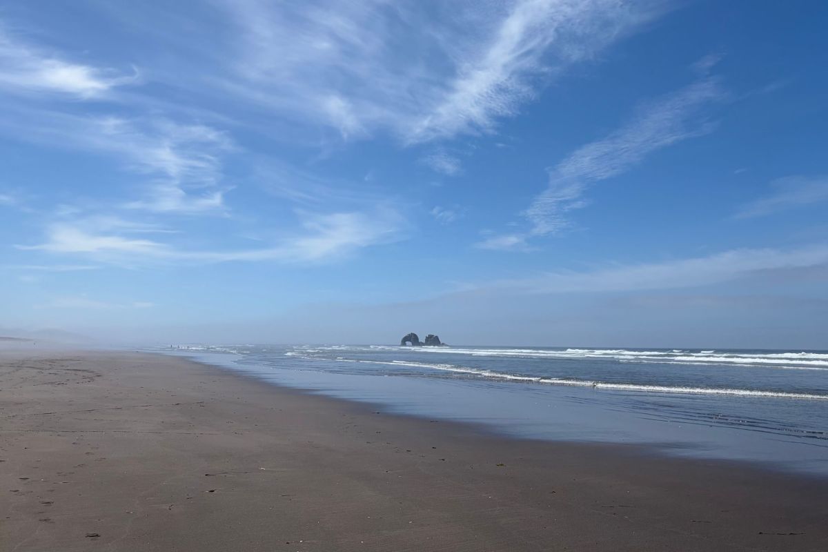 beach with rocks in the distance