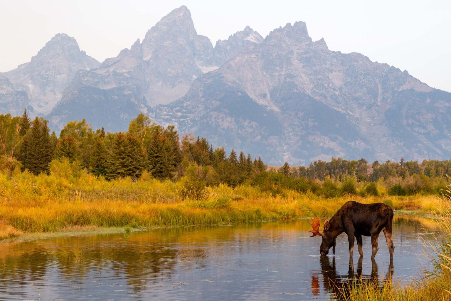0,000 Per Acre: Grand Teton National Park Beats High Costs to Add New Land