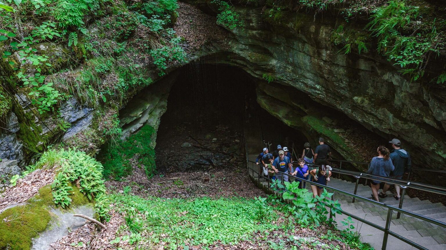 AI Company Sues City for Opposing Data Center Next to National Park