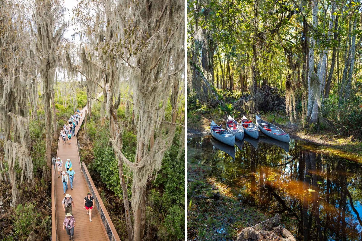 okefenokee refuge