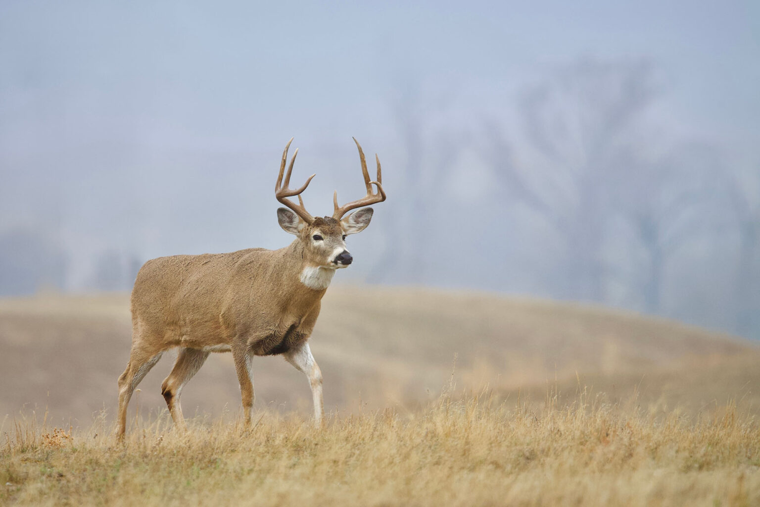 Ohio to Spend M on Public Hunting Land Acquisitions