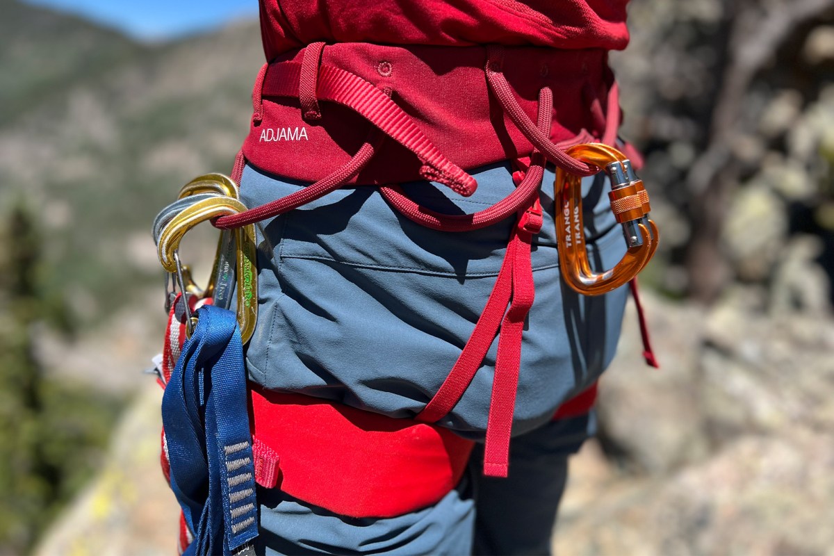 Close-up of climbing gear attached to red harness loops