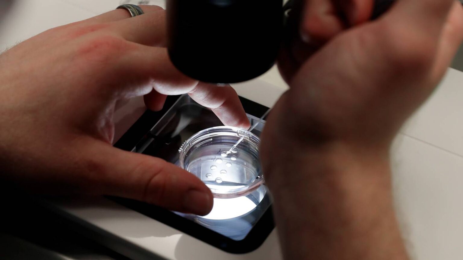Military Egg Freezing Program Offers Active-Duty Troops Up to ,000
