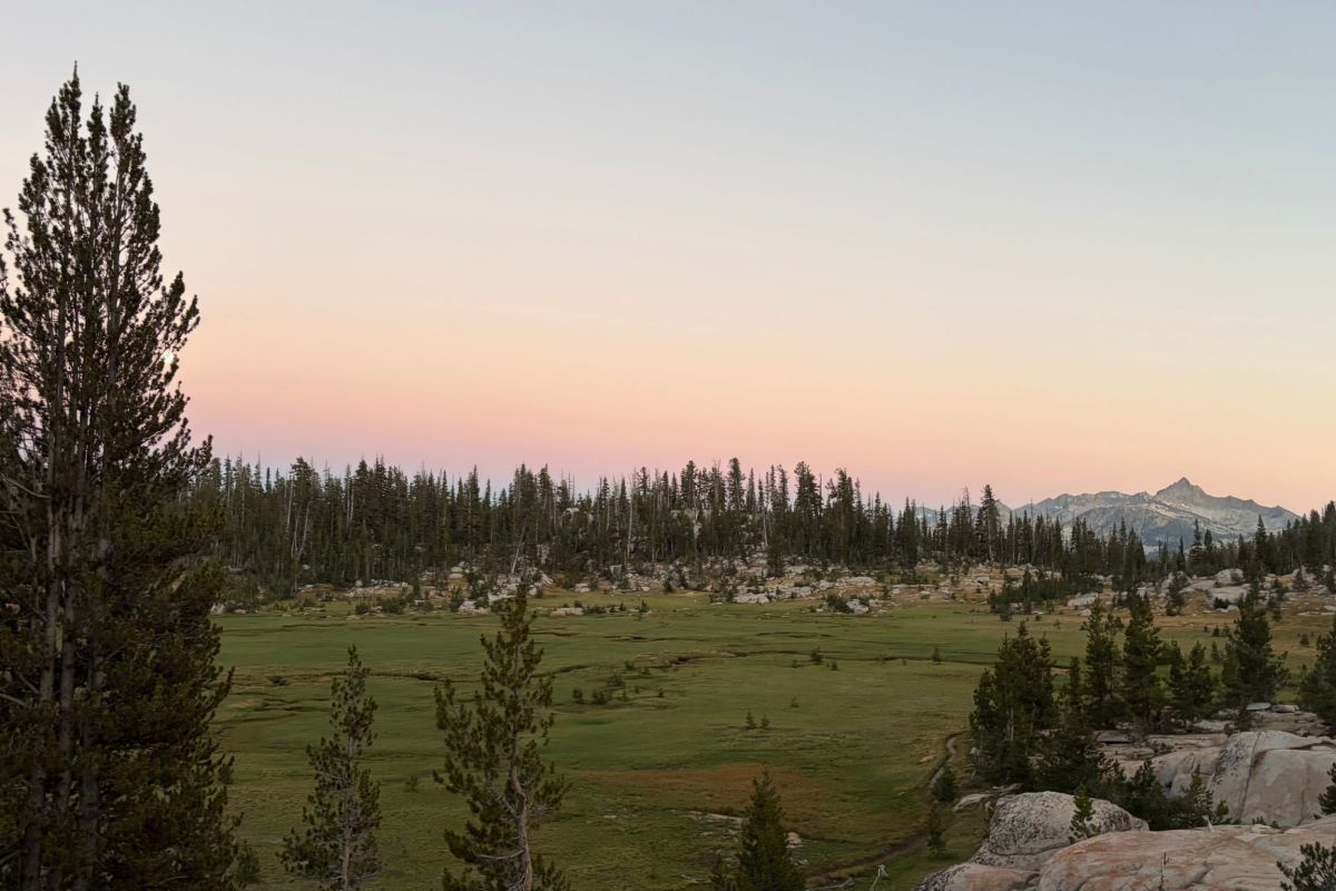 sunset in meadow