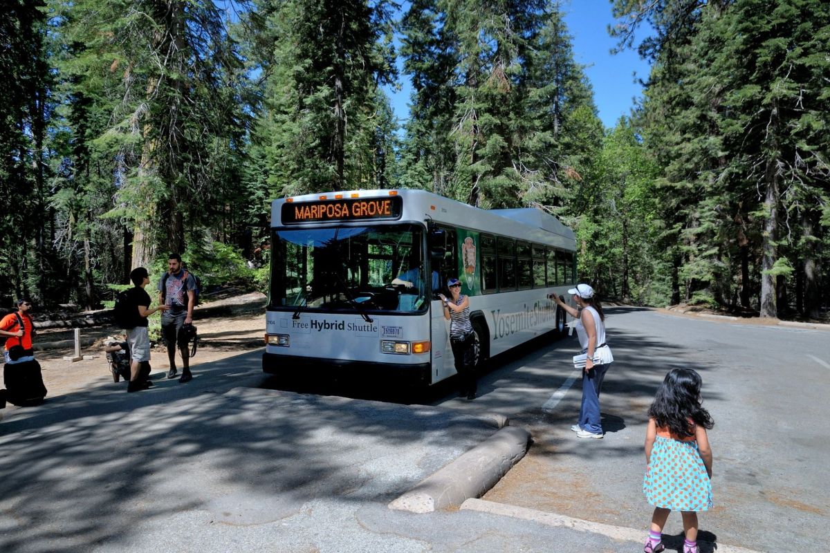 people stand by shuttle bus