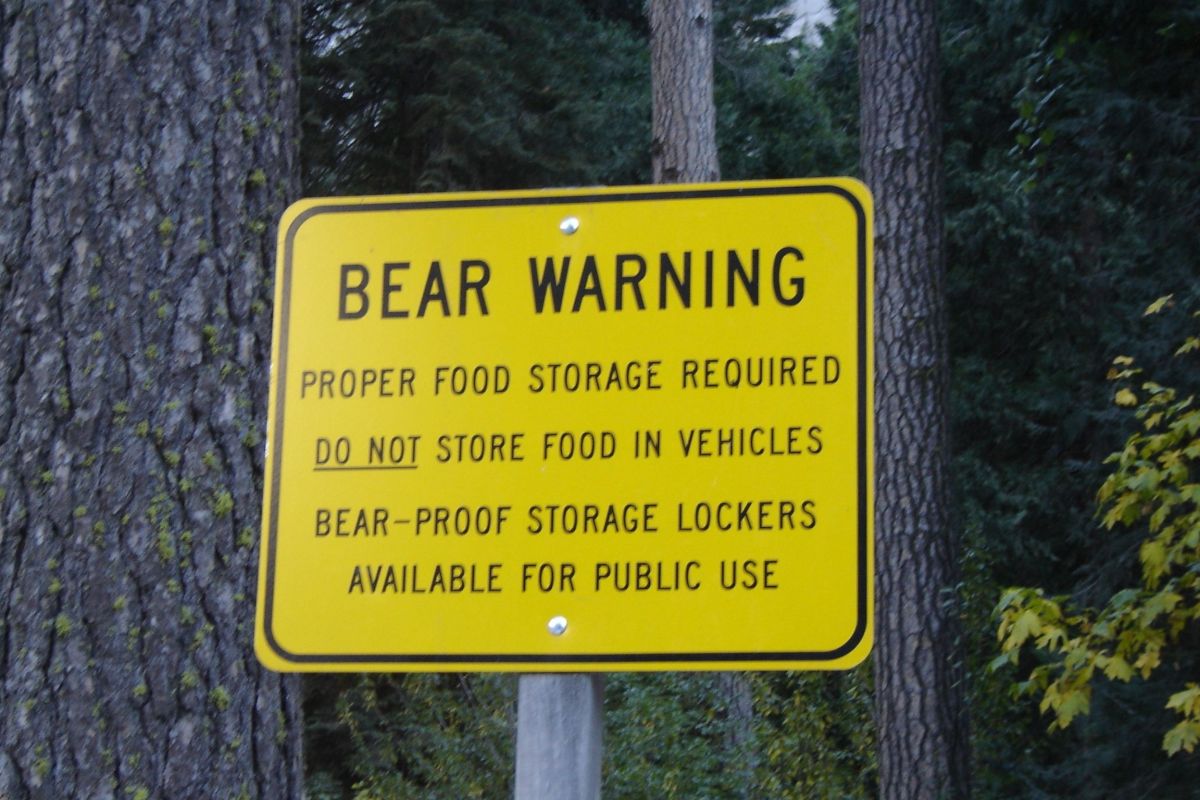 sign about bears