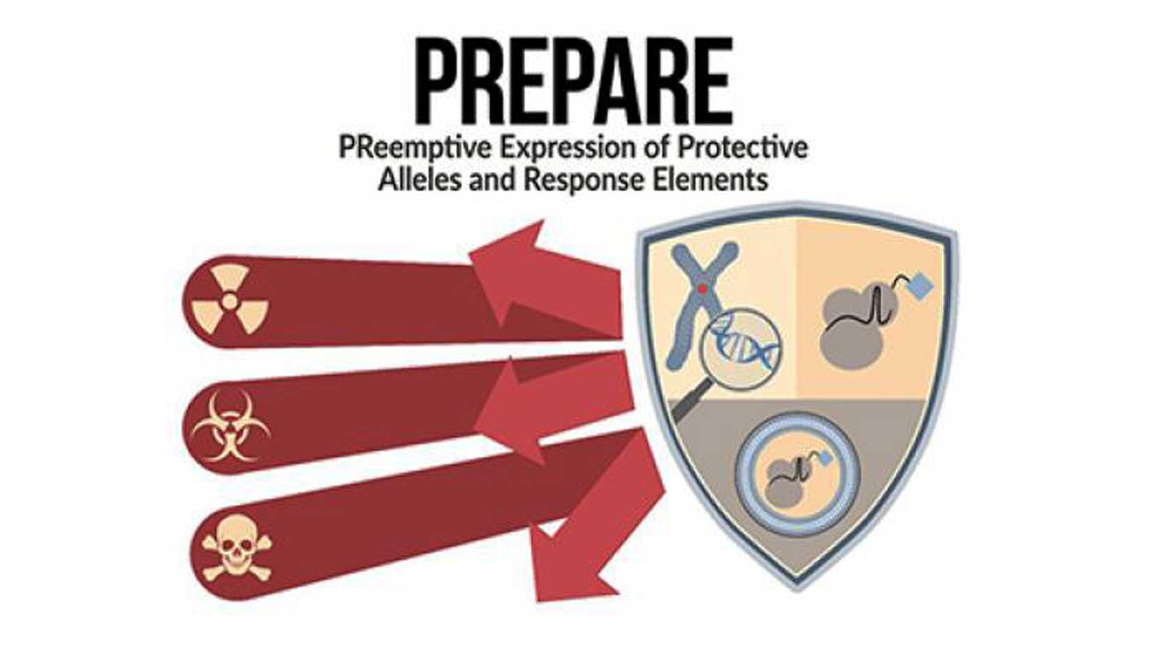 DARPA’s official PREPARE program artwork