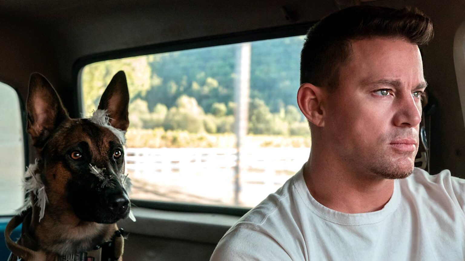 13 Military Movies Leaving Hulu and Max in September 2026