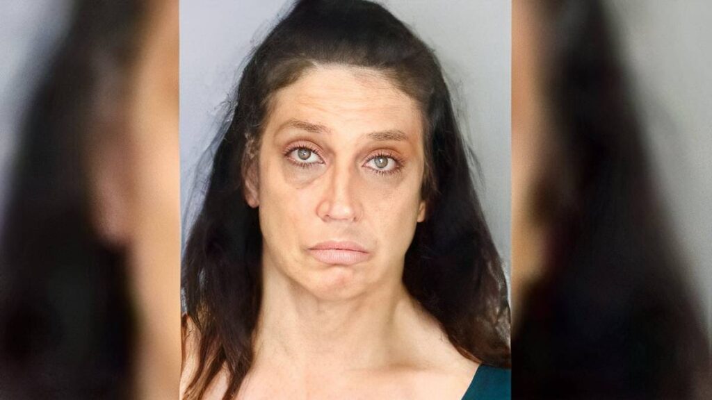 Fake Military IDs Used By Woman in Alleged ,000 Bank Theft Fake Military IDs Used By Woman in Alleged ,000 Bank Theft