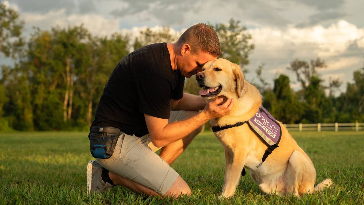 ,000 Military Service Dog Investment Follows Trained Canine’s Death