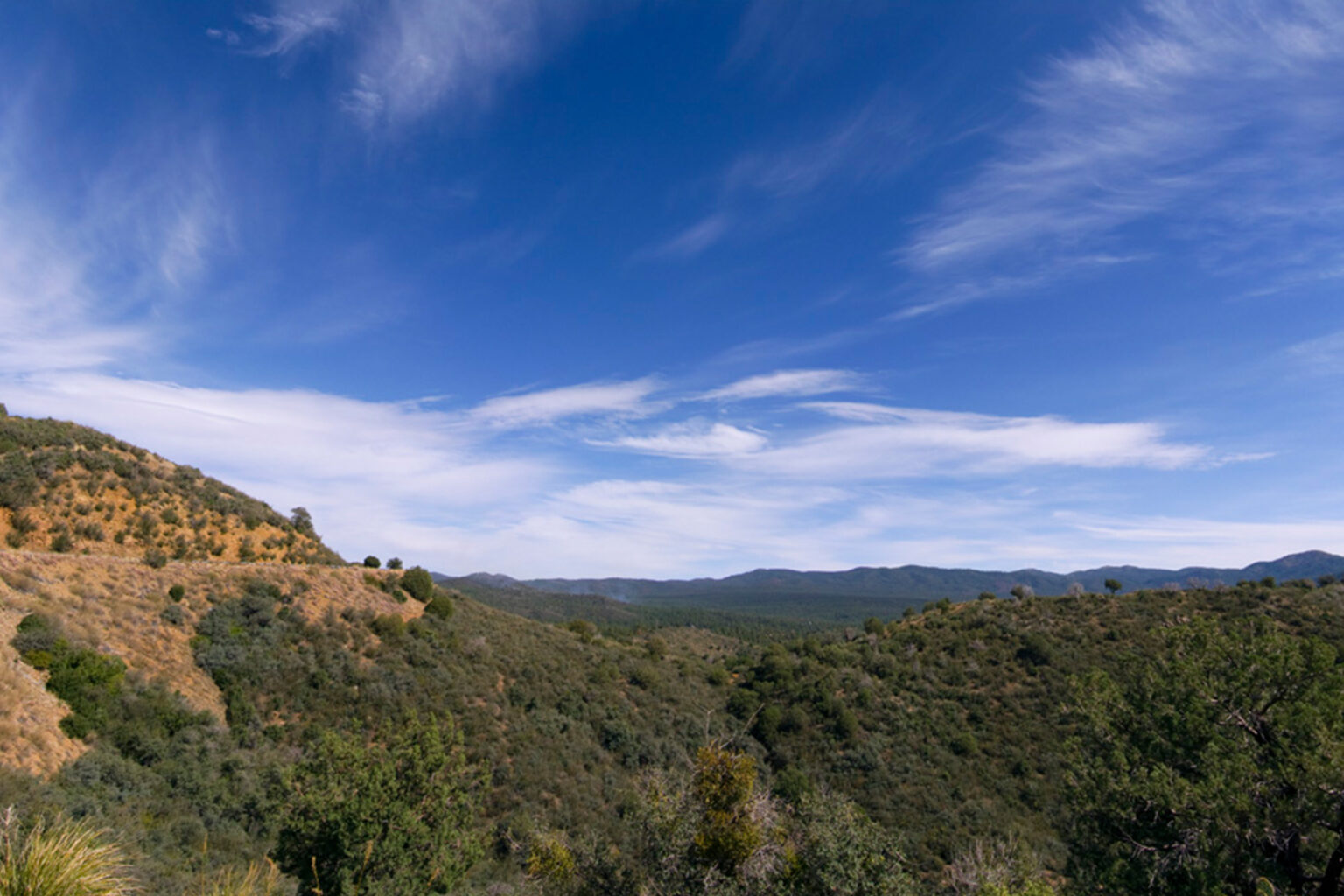 You Have Until Friday to Weigh In on a Major Federal Wilderness Review You Have Until Friday to Weigh In on a Major Federal Wilderness Review