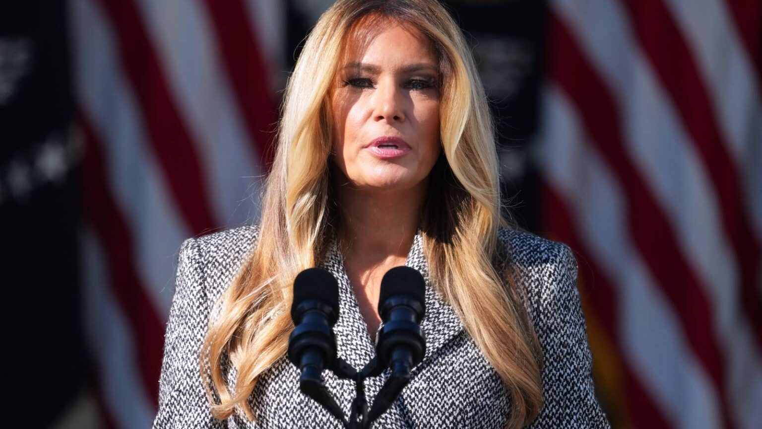 Localized Ceasefire Brokered by Melania Trump Starts as Nordic Leaders Speak to Putin and Zelenskyy