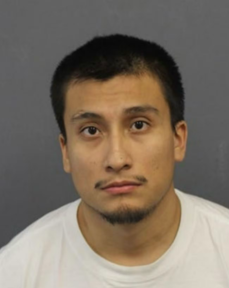 Vandalism suspect